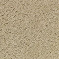 Showstar Plus Rollable Carpet - DISCONTINUED