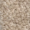 Earth Tone Cream Recycled Carpet Sustainable Carpet Eco Friendly Eco-Friendly Carpet Rollable Carpet for Trade Shows, Carpet for Home Carpet for Office High Quality Carpet K&S International