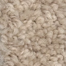 Earth Tone Cream Recycled Carpet Sustainable Carpet Eco Friendly Eco-Friendly Carpet Rollable Carpet for Trade Shows, Carpet for Home Carpet for Office High Quality Carpet K&S International