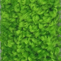 Bright Green Recycled Carpet Sustainable Carpet Eco Friendly Eco-Friendly Carpet Rollable Carpet for Trade Shows, Carpet for Home Carpet for Office High Quality Carpet K&S International