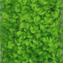 Bright Green Recycled Carpet Sustainable Carpet Eco Friendly Eco-Friendly Carpet Rollable Carpet for Trade Shows, Carpet for Home Carpet for Office High Quality Carpet K&S International