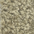 Earth Tone Beige Recycled Carpet Sustainable Carpet Eco Friendly Eco-Friendly Carpet Rollable Carpet for Trade Shows, Carpet for Home Carpet for Office High Quality Carpet K&S International