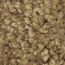 Earth Tone Beige Recycled Carpet Sustainable Carpet Eco Friendly Eco-Friendly Carpet Rollable Carpet for Trade Shows, Carpet for Home Carpet for Office High Quality Carpet K&S International